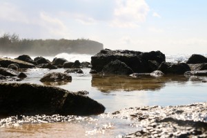 IMG_0489 